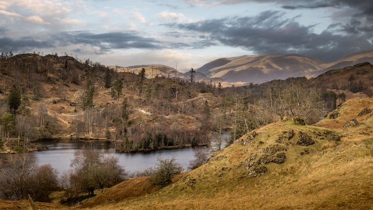 The lake and hills of Tarn Hows, Cumbria